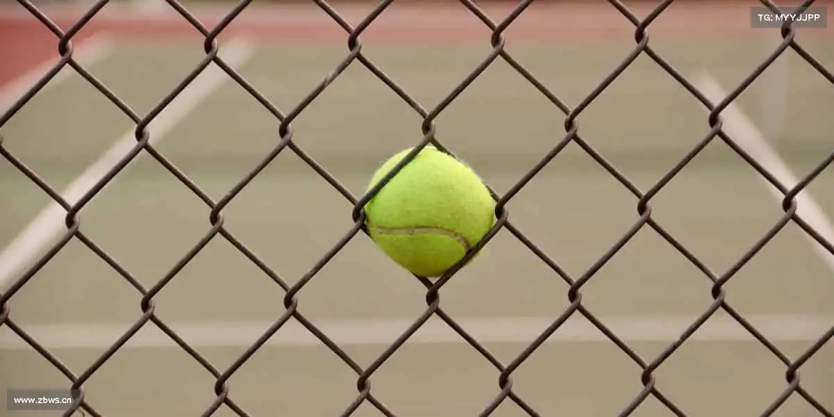 为什么选择我们